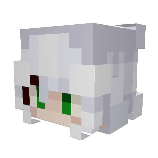 Dak_Vorsutus Minecraft avatar head, 3D render