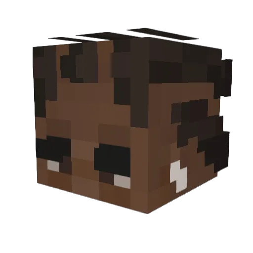 Dakar Minecraft avatar head, 3D render