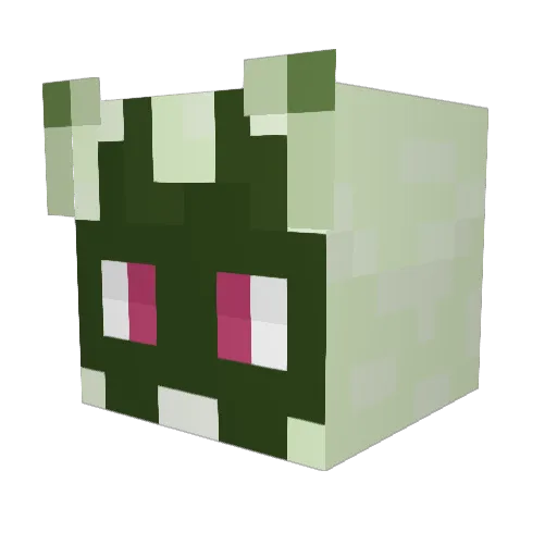 DakeriCougaroo Minecraft avatar head, 3D render