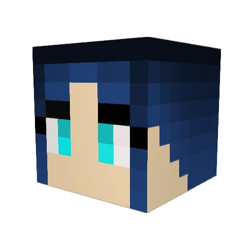 Dakia17 Minecraft avatar head, 3D render