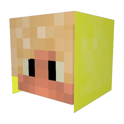 Dakninja7 Minecraft avatar head, 3D render