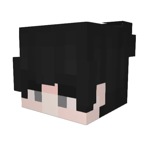 DakoDapi Minecraft avatar head, 3D render