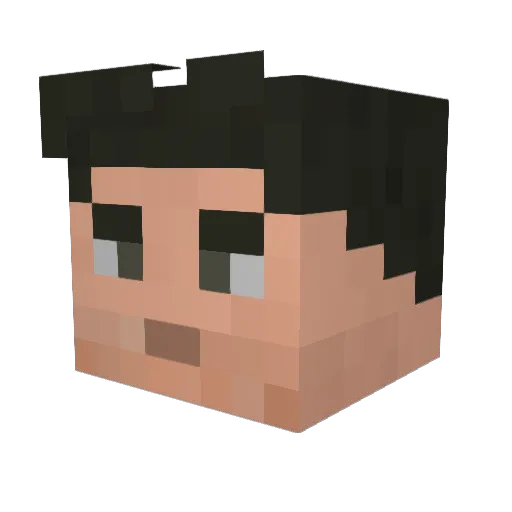 Dakon__ Minecraft avatar head, 3D render