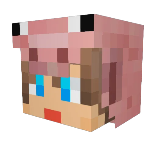 Dakong89 Minecraft avatar head, 3D render