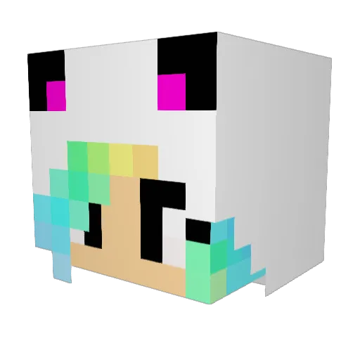 Dakota2006 Minecraft avatar head, 3D render