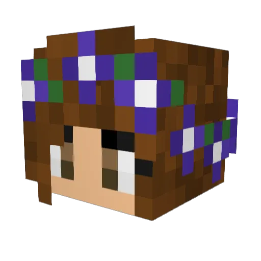 DakotaDawn Minecraft avatar head, 3D render