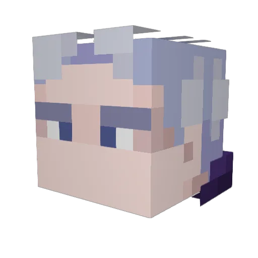 Dakotaa141 Minecraft avatar head, 3D render