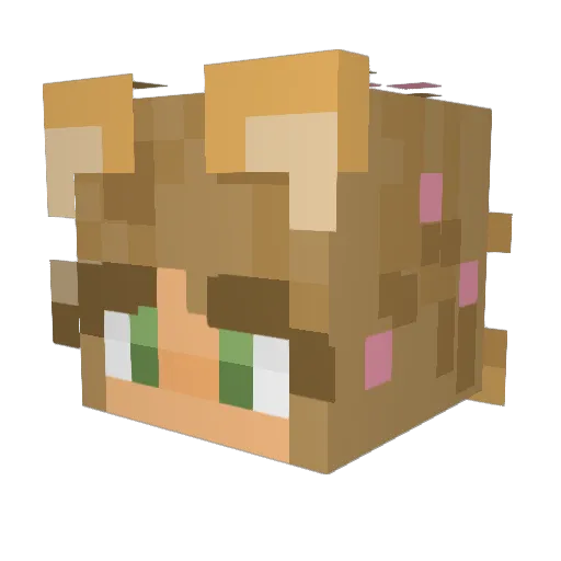 Dakotai_ Minecraft avatar head, 3D render