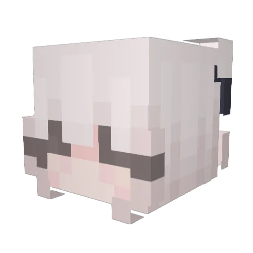Dakqta Minecraft avatar head, 3D render