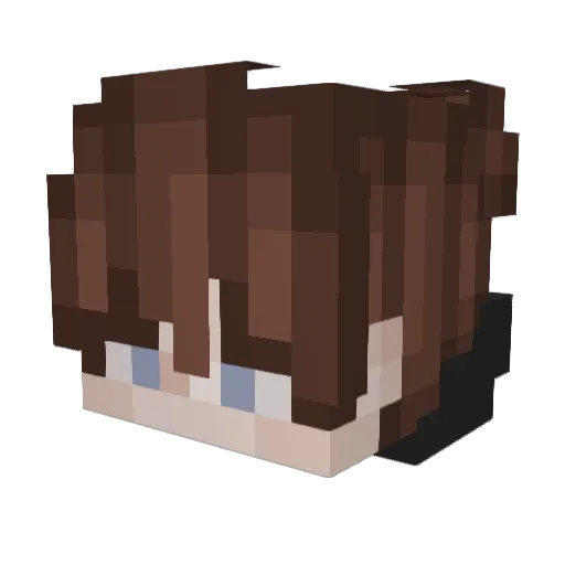 Dakshu_PTL Minecraft avatar head, 3D render