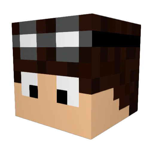 Dakwhil Minecraft avatar head, 3D render