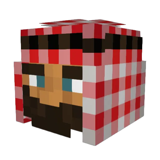 Dakwrite Minecraft avatar head, 3D render