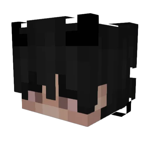 Dakyuu Minecraft avatar head, 3D render