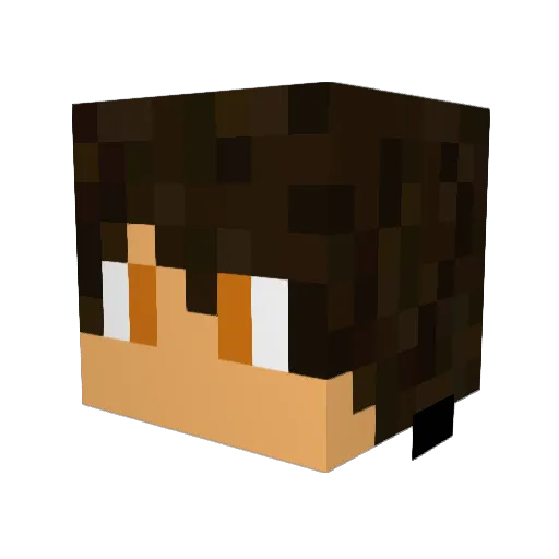 DalaiAlpaca Minecraft avatar head, 3D render