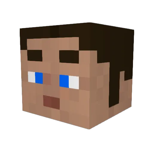 DalaiFarma Minecraft avatar head, 3D render