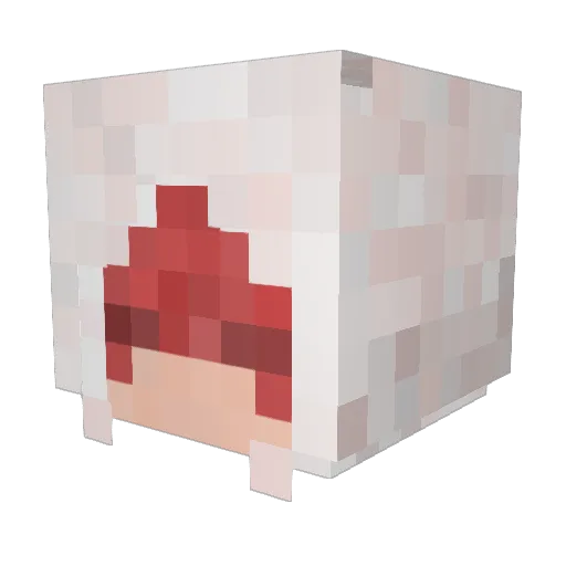 Dalanores Minecraft avatar head, 3D render