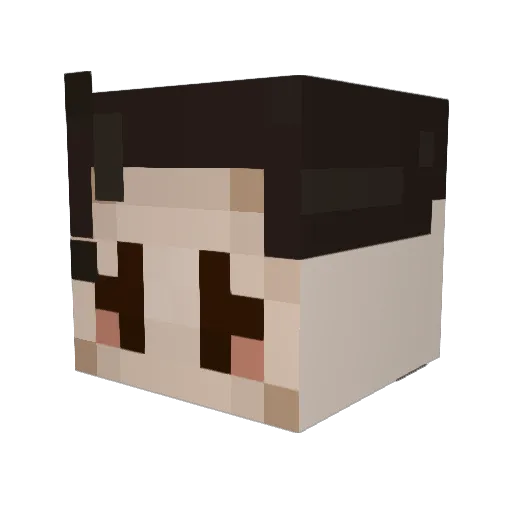 DaleCooper90 Minecraft avatar head, 3D render
