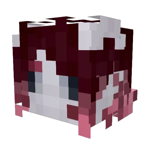 DaleighChronicle Minecraft avatar head, 3D render