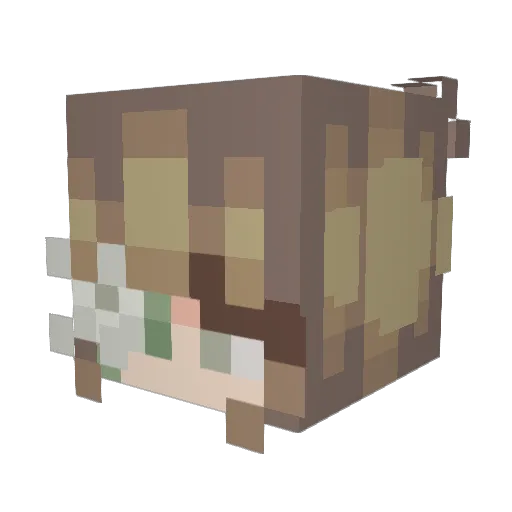 Daleines Minecraft avatar head, 3D render