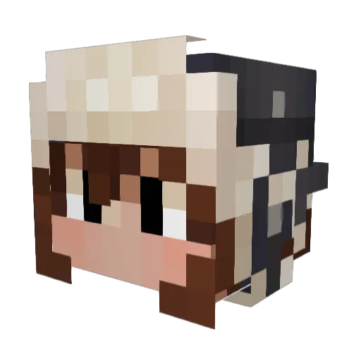 Dalgiriz Minecraft avatar head, 3D render