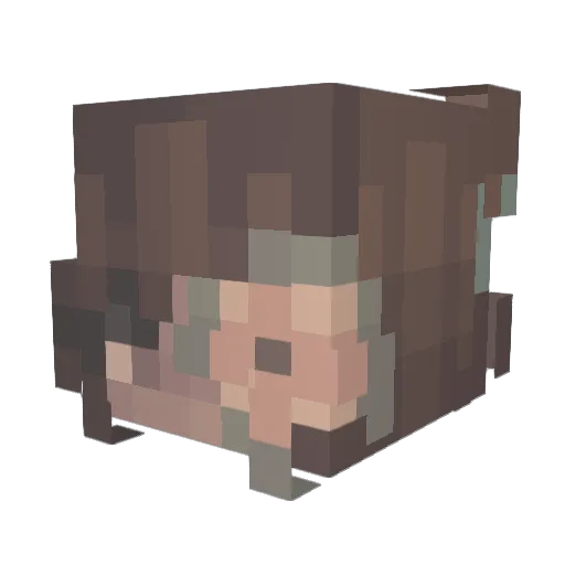 Daliaye Minecraft avatar head, 3D render