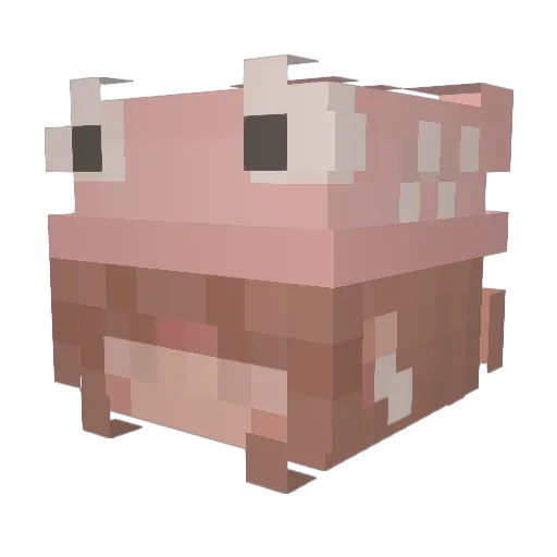 Dalininiz Minecraft avatar head, 3D render