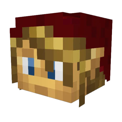 Dalkin13 Minecraft avatar head, 3D render
