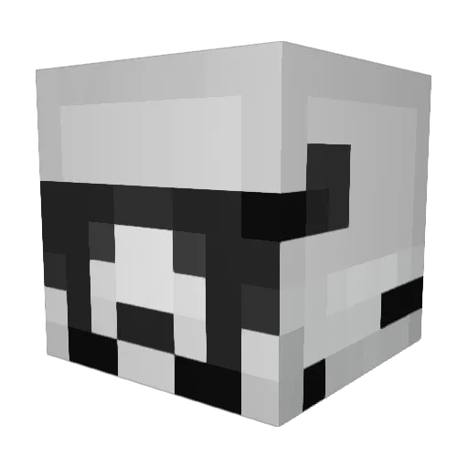 Dallan_exe Minecraft avatar head, 3D render