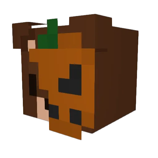 DallasNolan Minecraft avatar head, 3D render