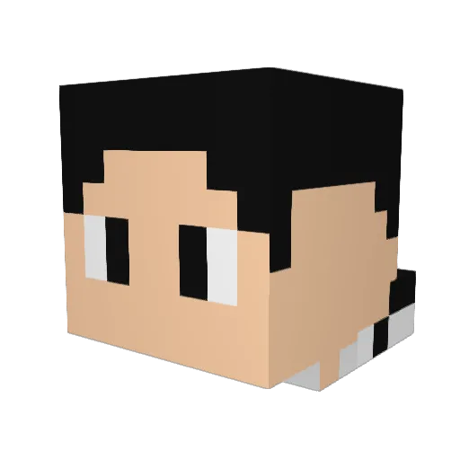 Dallas_Deku Minecraft avatar head, 3D render