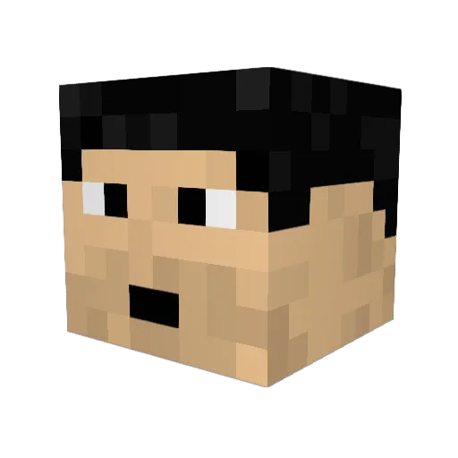 Dallas_Winston Minecraft avatar head, 3D render