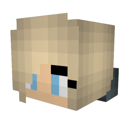 Dallis9 Minecraft avatar head, 3D render