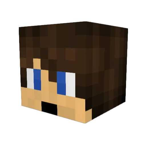 Dalmo54 Minecraft avatar head, 3D render
