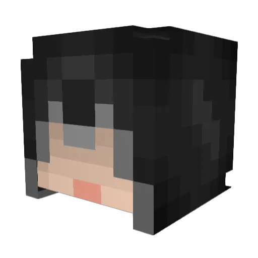Dalpag Minecraft avatar head, 3D render