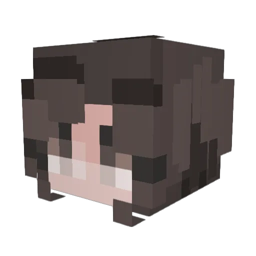 Dalton2Jolly Minecraft avatar head, 3D render