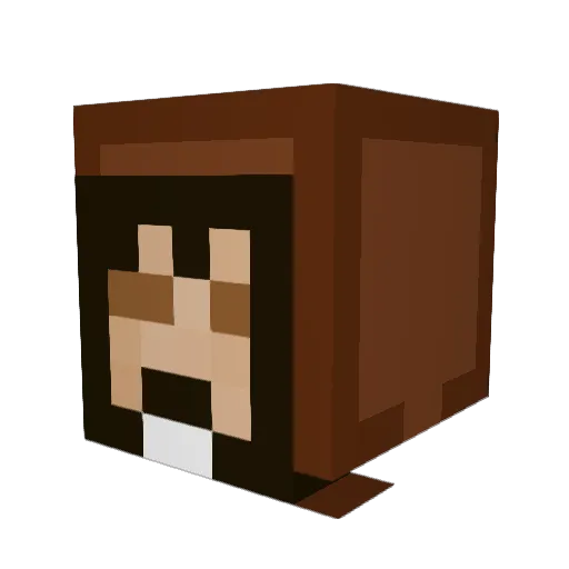 DaltonThePerson Minecraft avatar head, 3D render