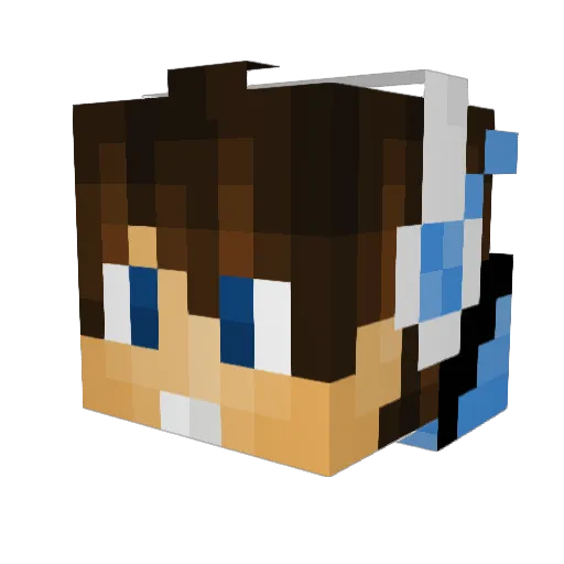 Daltonian9 Minecraft avatar head, 3D render