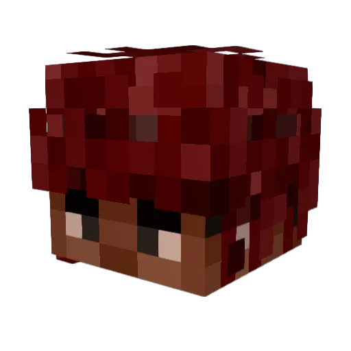 Daltyzer Minecraft avatar head, 3D render