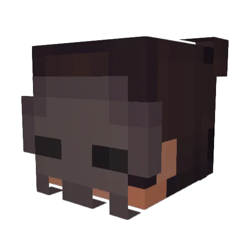 Dalxza Minecraft avatar head, 3D render