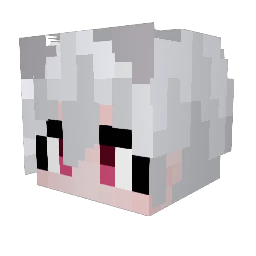 DamDaDam Minecraft avatar head, 3D render