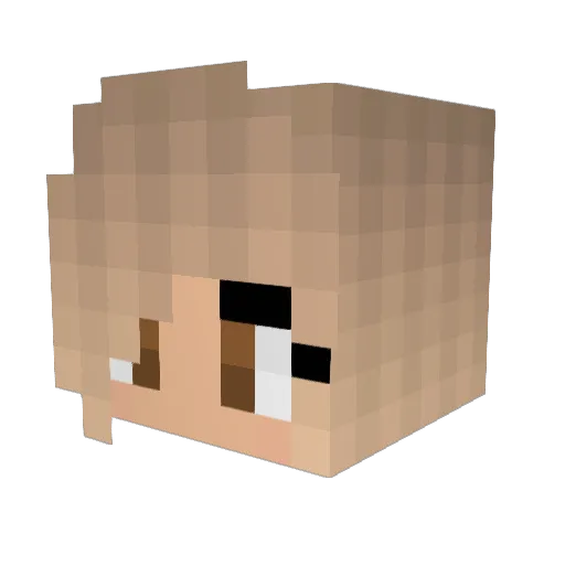 DamPapa00 Minecraft avatar head, 3D render