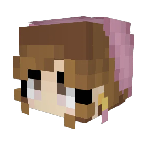 DamSamSoggy Minecraft avatar head, 3D render