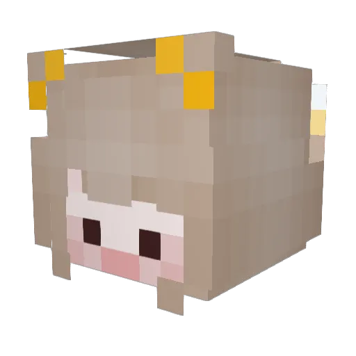 Dam_Bi_U Minecraft avatar head, 3D render