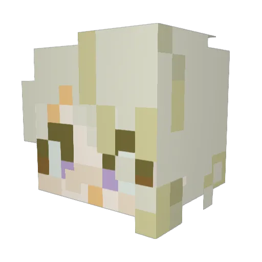 Dam_E_ Minecraft avatar head, 3D render