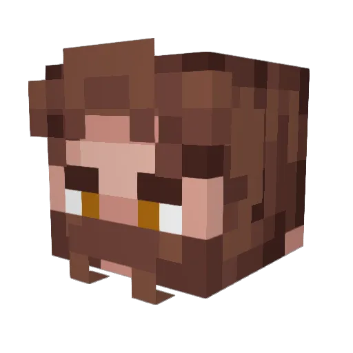 Damaceo Minecraft avatar head, 3D render