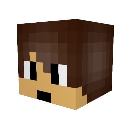 Damacol Minecraft avatar head, 3D render