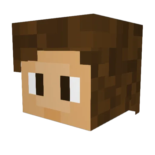 Damage1311 Minecraft avatar head, 3D render