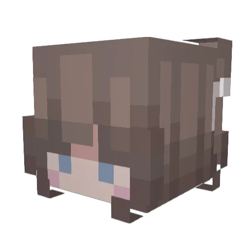 DamagedTea Minecraft avatar head, 3D render