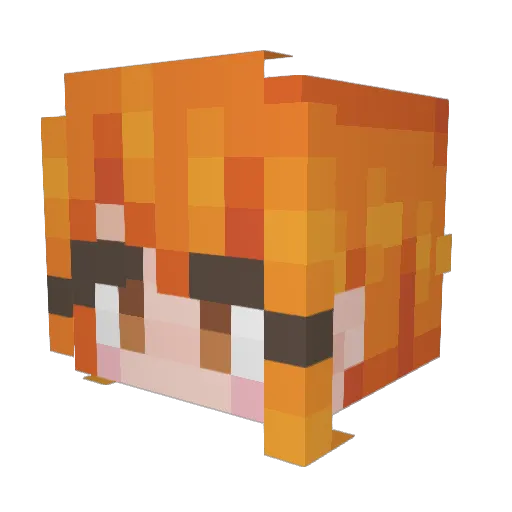 Damburgy06 Minecraft avatar head, 3D render