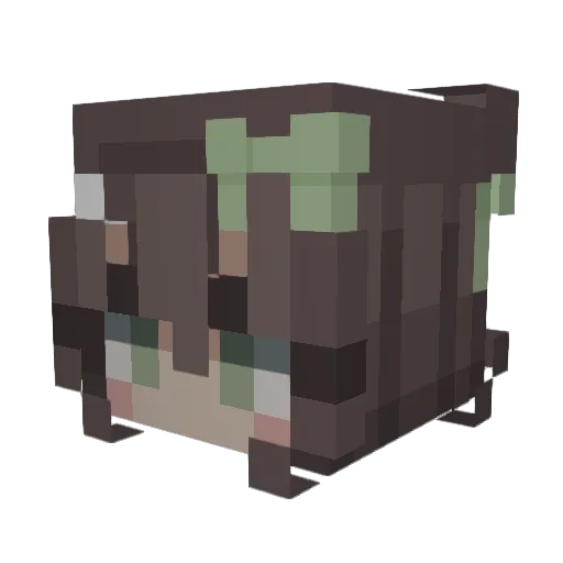 Damd00m Minecraft avatar head, 3D render